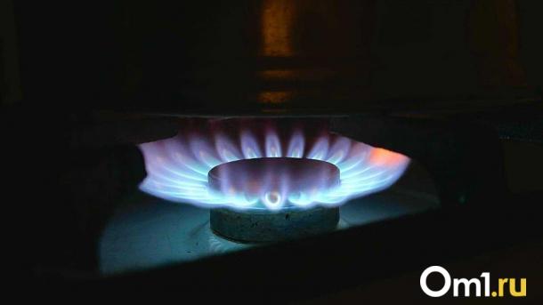 В Омске могут возбудить уголовное дело из-за отсутствия газа в домах