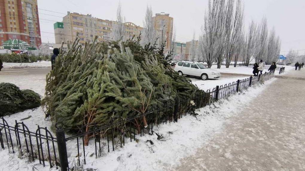 На омском Левобережье будут работать 10 площадок для ёлочных базаров: адреса