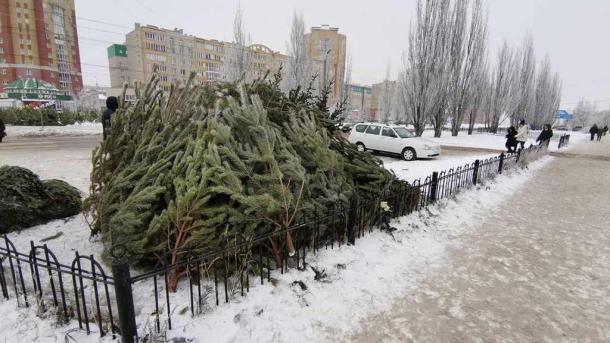 На омском Левобережье будут работать 10 площадок для ёлочных базаров: адреса