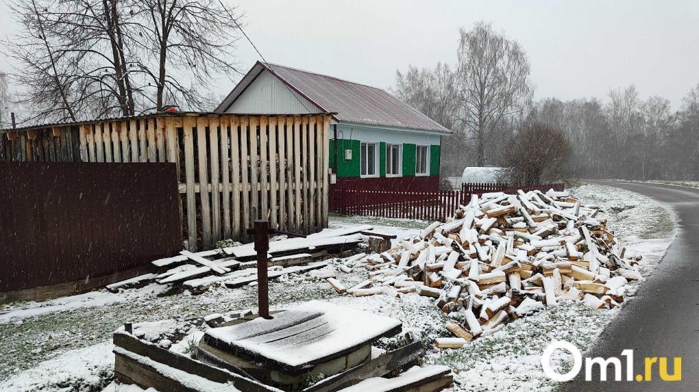 Омская область получит дополнительные средства в рамках проекта Чистый воздух: на что их потратят