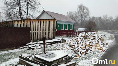 Омская область получит дополнительные средства в рамках проекта «Чистый воздух»: на что их потратят?