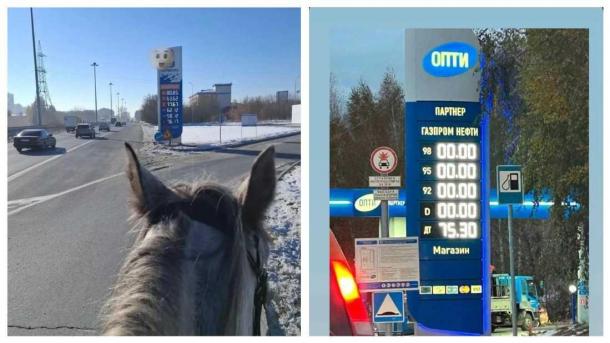 Новосибирец пересел на лошадь из-за роста цен и дефицита бензина на АЗС