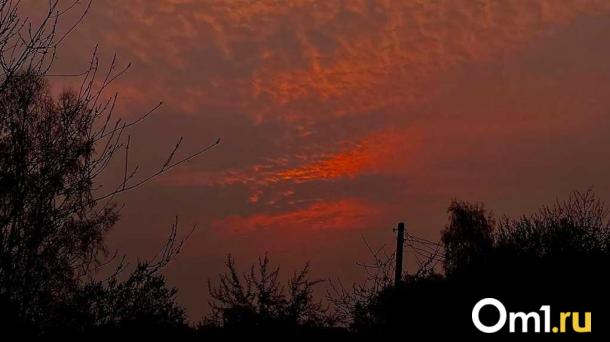 Перед выходными омичей ждёт ужасная напасть