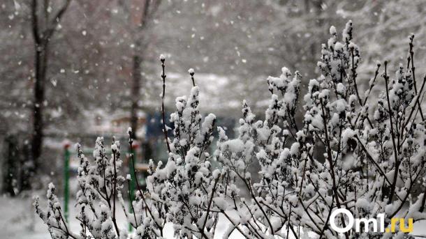 Омскую область в выходные накроет снежным циклоном