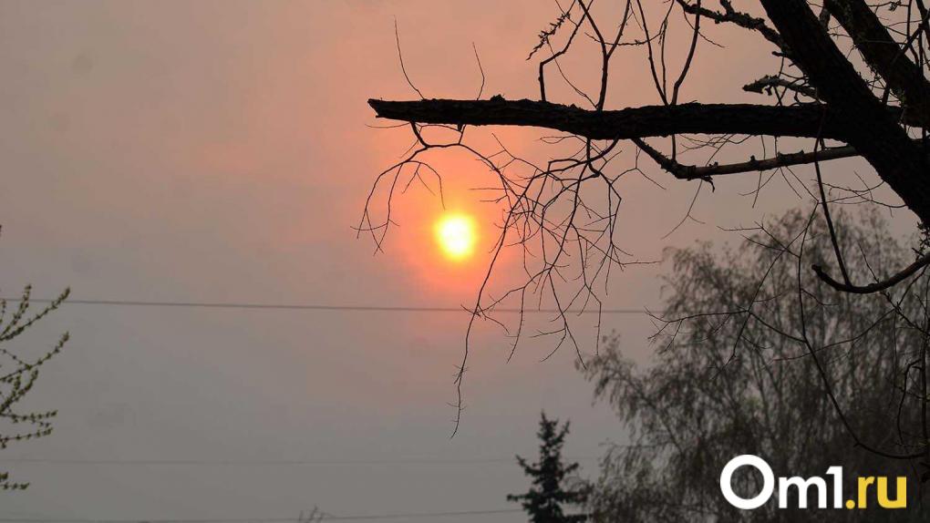 Мощная магнитная буря накрыла Новосибирск: возмущения продлятся до конца недели