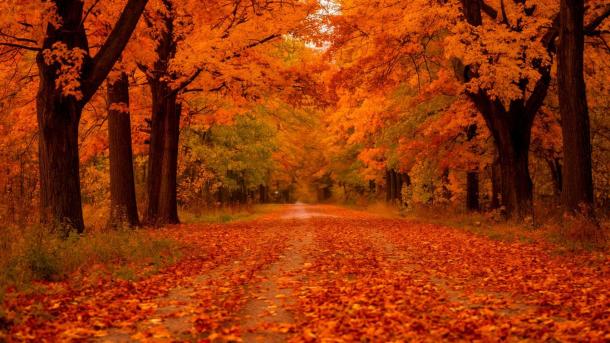 Синоптик рассказал, когда в Москве и Подмосковье появится солнце