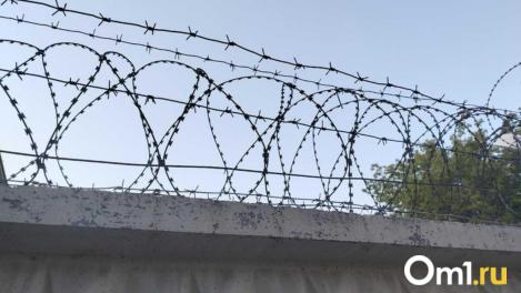 Новосибирцу дали 4 года за нападение на полицейских в ТЦ