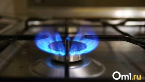 В Омске возбуждено уголовное дело против газовой компании из-за массового отключения газа