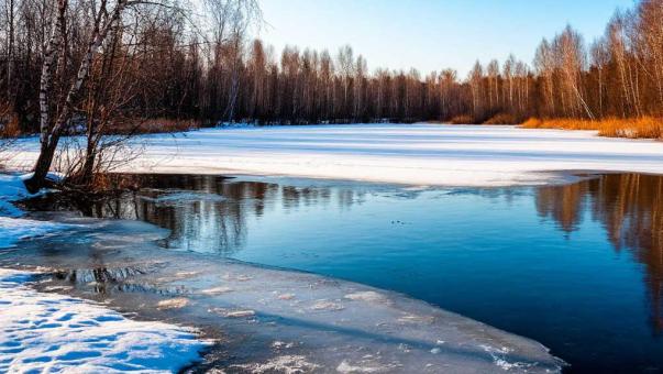Прокуратура выясняет обстоятельства гибели несовершеннолетних на водоёме в Новосибирске