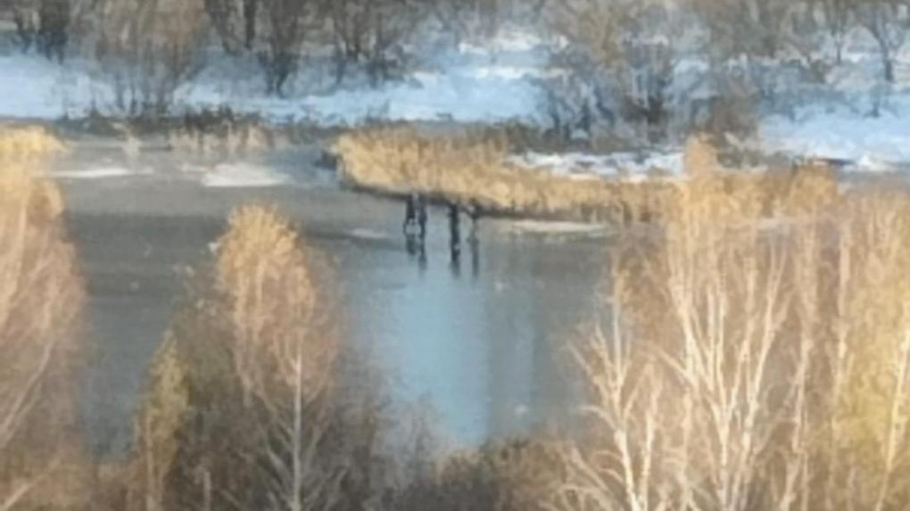 Ребенок провалился под лед: бдительность новосибирца предотвратила трагедию на озере