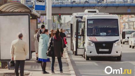 Не пристегнувшись и без прав: омские маршрутки оказались опасными для пассажиров
