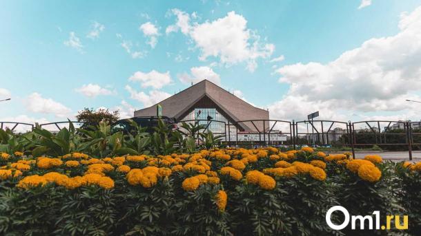 Благоустройством территории у СКК Блинова займется питерская компания