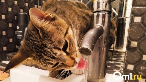 Более 30 омских домов на этой неделе останутся без воды: список адресов