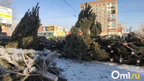22 площадки: в Омске определили места для ёлочных базаров в Ленинском округе