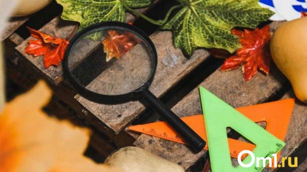 В Минпросвещения рассказали, будут ли вводить 12-й класс в омских школах