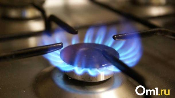 Мошенники в Омске обманывают жителей, представляясь сотрудниками газовых и коммунальных служб