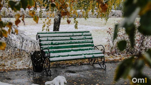 Тёплая осень не сдаётся: снег в Омске появится только к середине ноября
