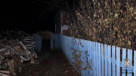 Грабители в чулках и с палкой ночью ворвались в дом жителя Омской области