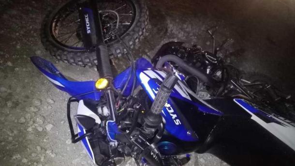 Под Новосибирском водитель гужевой повозки сбил подростка и сбежал на лошади