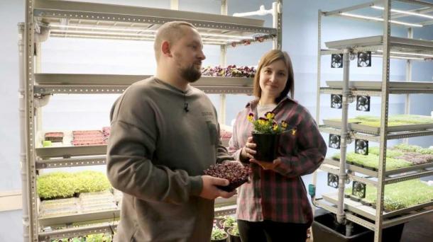 Новосибирцы открыли 2000 бизнесов по соцконтрактам за 9 месяцев 2025 года