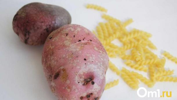 Нутрициолог назвала два блюда, способствующих похудению