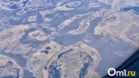 Пассажирка рейса Астана — Новосибирск напала на бортпроводников из-за отказа в алкоголе