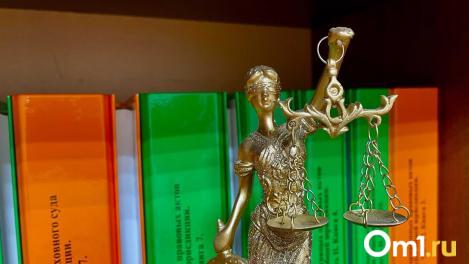 Прокуратура Омска требует от владельца собаки компенсацию за нападение на ребёнка