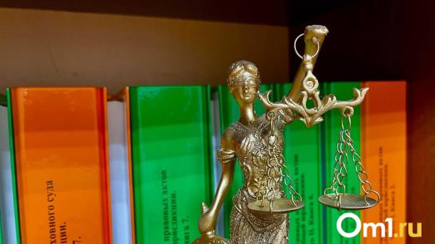 Прокуратура Омска требует от владельца собаки компенсацию за нападение на ребёнка