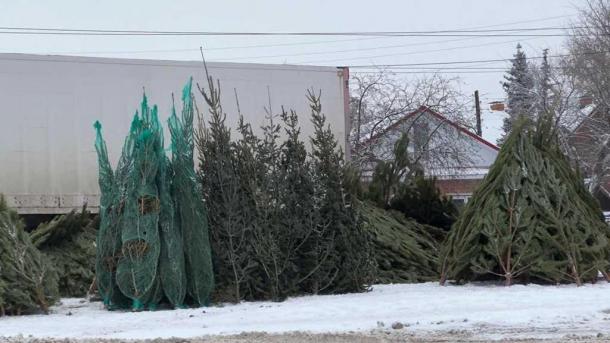 Названы адреса ёлочных базаров, которые заработают в Советском округе Омска