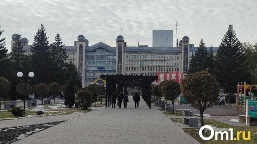 3D-пазлы и парк с бесплатным Wi-Fi: пять пространств, которые появились в Омске в этом году