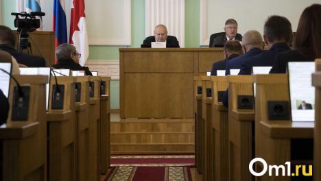 Депутаты омского Горсовета обсудили выдачу участков многодетным семьям и платный мост через Омь