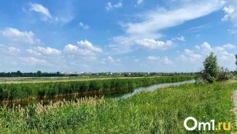 В Омском районе сдают в аренду участок под производство лёгкой промышленности