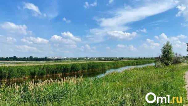 В Омском районе сдают в аренду участок под производство лёгкой промышленности