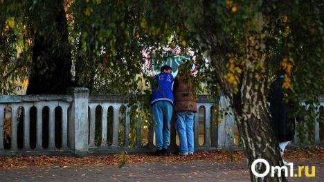 До +14 градусов: в начале ноября омичей ждёт внезапное потепление