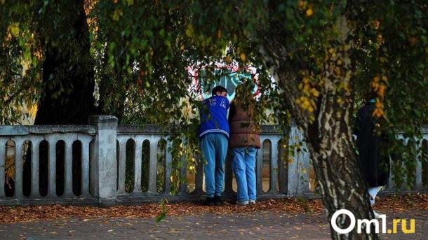 До +14 градусов: в начале ноября омичей ждёт внезапное потепление