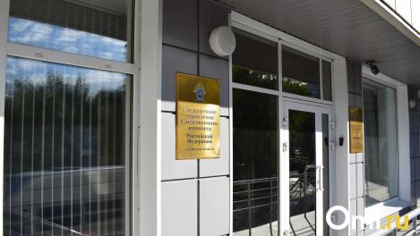 Бастрыкин потребовал доклад по делу о нападении собаки на девочку в Омске