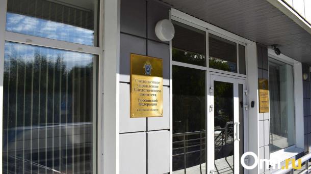 Бастрыкин потребовал доклад по делу о нападении собаки на девочку в Омске
