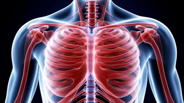 Каждый пятый мужчина в России страдает от остеопороза