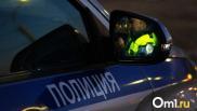 Сопротивлялась и пыталась сбежать: пьяная омичка устроила погоню с полицейскими