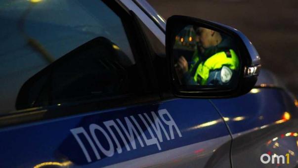 Сопротивлялась и пыталась сбежать: пьяная омичка устроила погоню с полицейскими