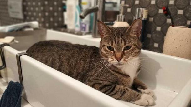 Омичам из Центрального округа на следующей неделе отключат воду