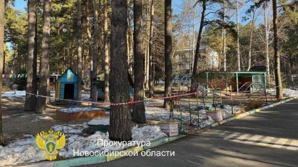 Прокуратура разбирается с причиной падения дерева на ребёнка в детском саду Новосибирска