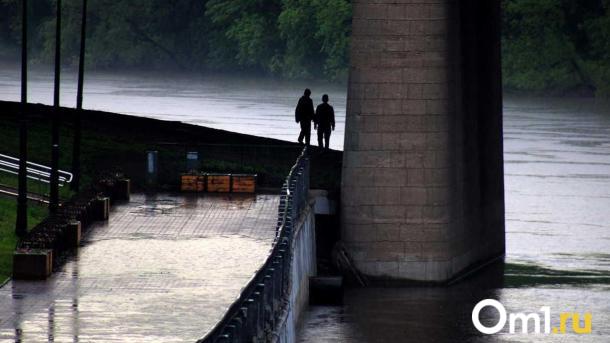 Эколог объяснила причины загрязнения реки Оми токсическими веществами