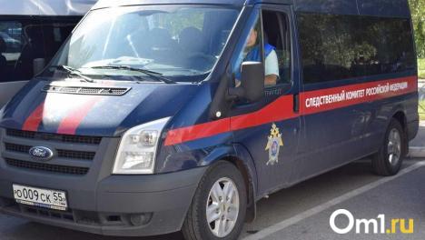 Дело убитой школьницы забрали у омских следователей