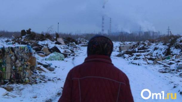 Режим «чёрного неба» в Новосибирске продлен до 26 октября