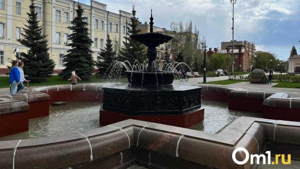 В Омске зажгли первый новогодний фонтан