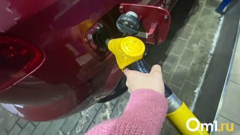 На двух омских заправках подорожало топливо