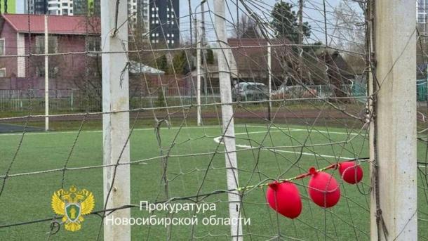 Директор школы в Новосибирске обвинён в халатности после двух травм детей