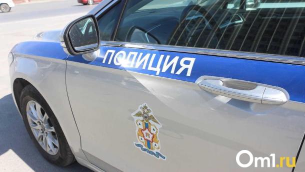 На трассе Тюмень-Омск водитель насмерть задавил человека