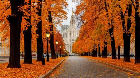 Ноябрь в Москве: на 5 градусов теплее и солнце в начале месяца